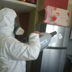 Уничтожение насекомых в квартире. Речной вокзал